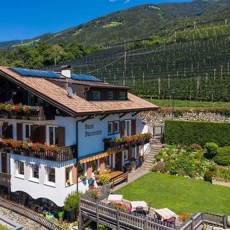 Hotel Garni Dürrenstein Scena Exterior foto